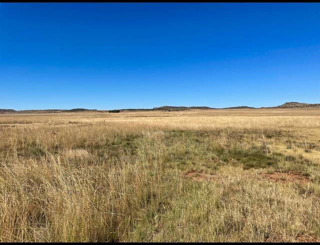 1,488HA FARM FOR SALE IN ROUXVILLE RURAL
